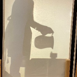 A standing silhouetted student pours from a pitcher.